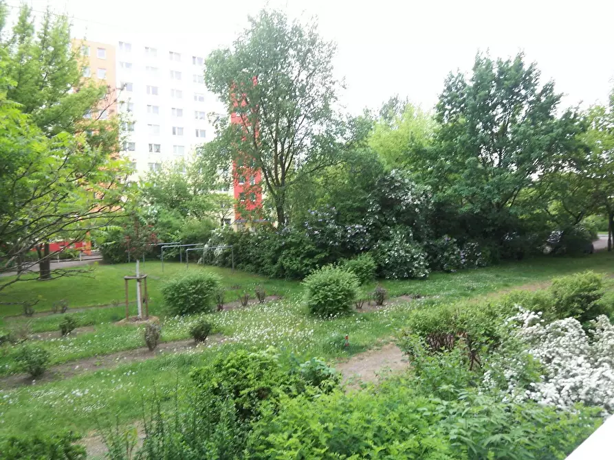 Immagine 3 di Appartamento in affitto  in Marchwitzastraße a Berlin