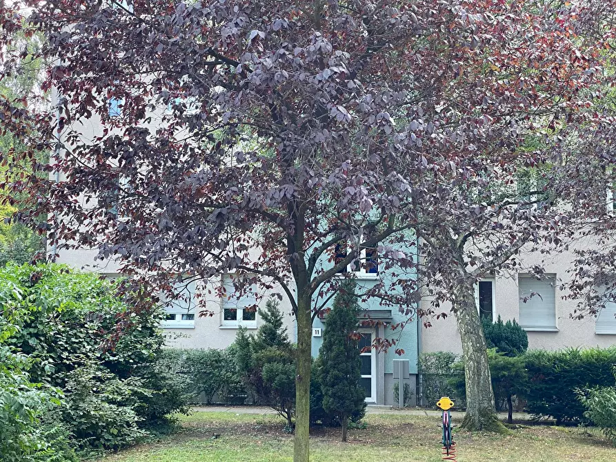 Immagine 2 di Appartamento in affitto  in Josef-Orlopp-Straße a Berlin