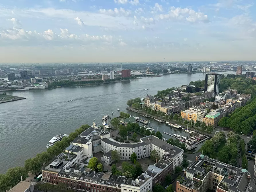Immagine 3 di Appartamento in affitto  in Houtlaan a Rotterdam
