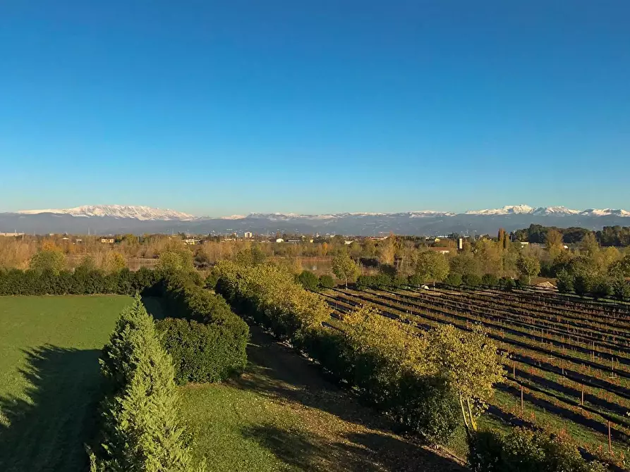 Immagine 8 di Appartamento in affitto  in Strada dei Boschi a San Giovanni Lupatoto