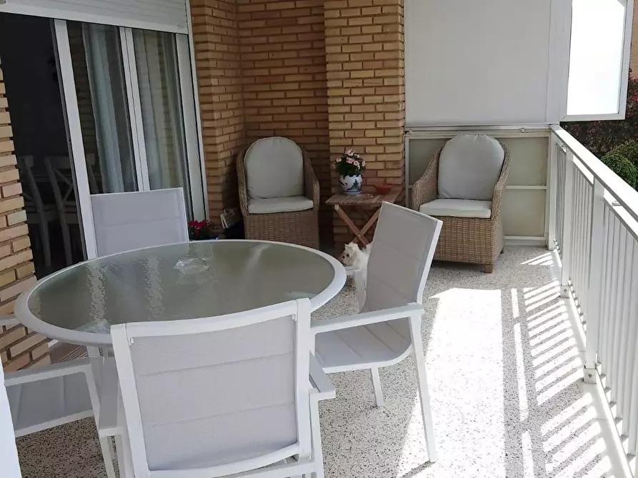 Immagine 2 di Casa indipendente in affitto  in Ronda Ramon de Campoamor a Punta Prima