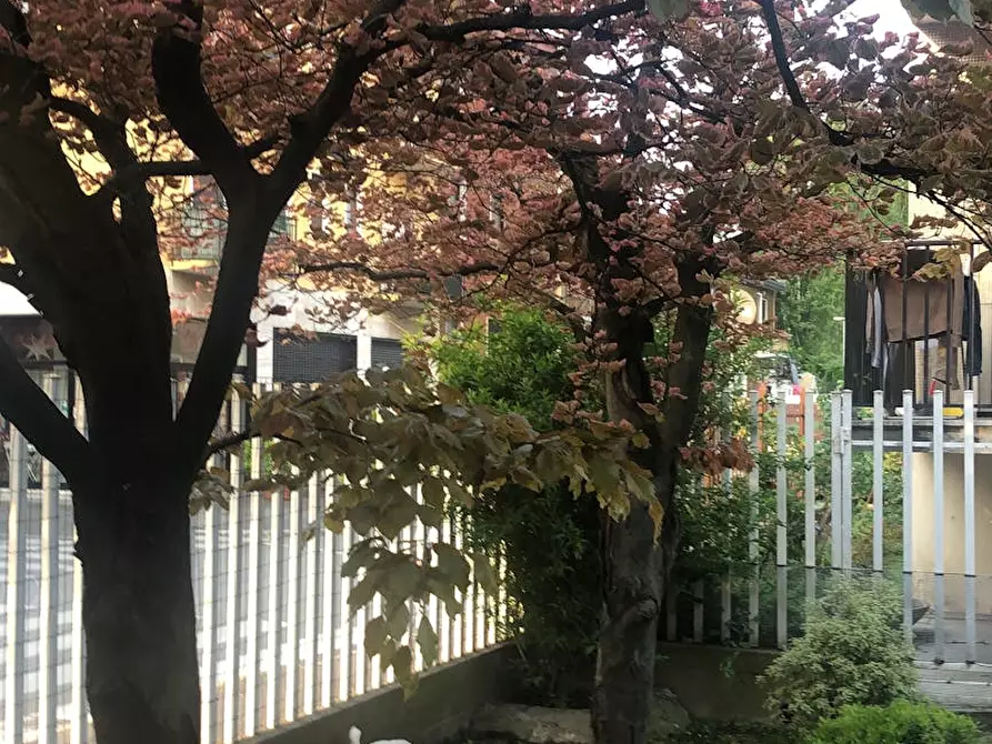 Immagine 2 di Appartamento in affitto  in Via Luigi Ornato a Milano