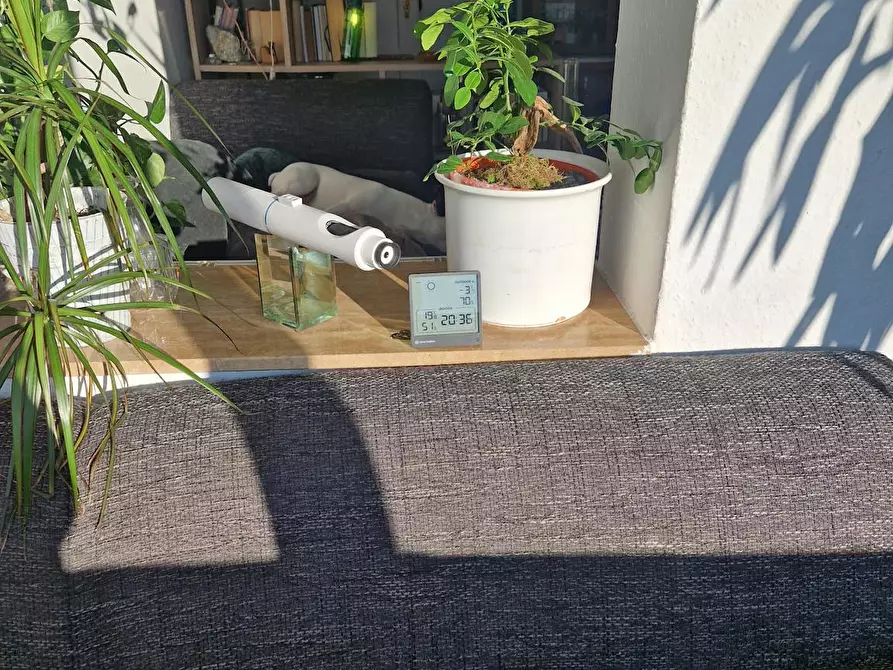 Immagine 3 di Camera in affitto  in Eigenheimstraße a Leipzig