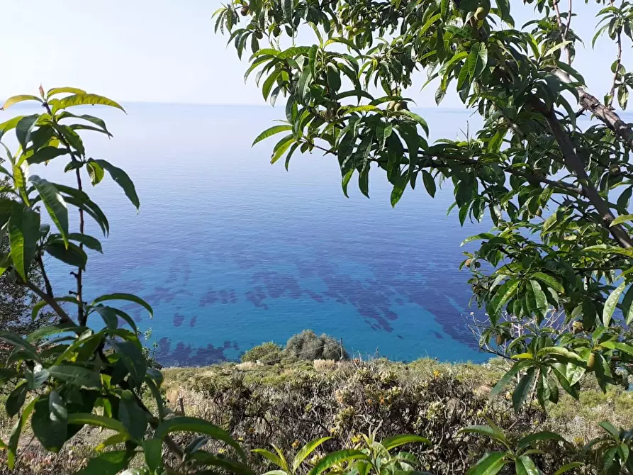 Immagine 1 di Casa indipendente in affitto  in Via alle Ville a Ventimiglia