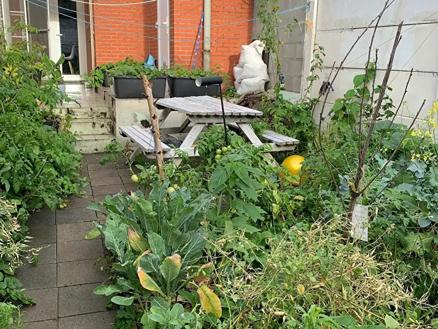 Immagine 8 di Camera in affitto  in Kielpark a Antwerpen