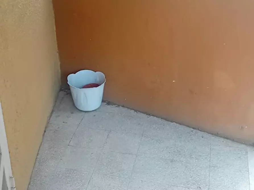 Immagine 2 di Camera in affitto  in Via Basilio Bricci a Roma