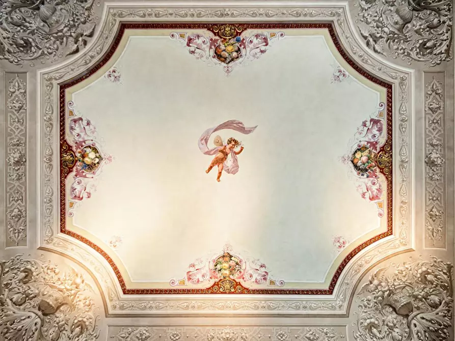Immagine 5 di Appartamento in affitto  in Via Venezia a Firenze