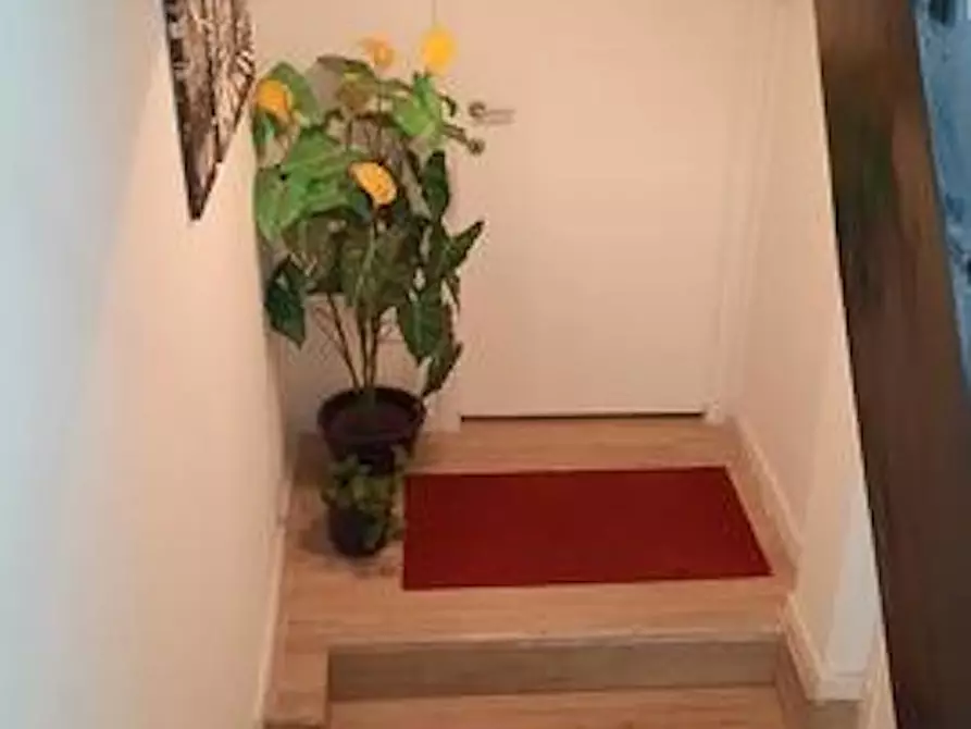 Immagine 9 di Appartamento in affitto  in Laarsebaan a Merksem