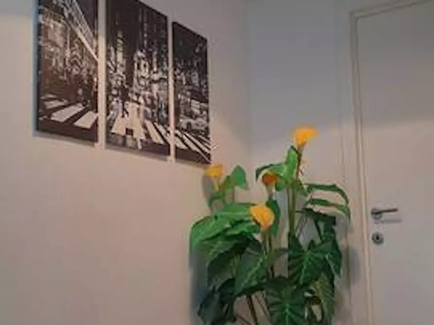 Immagine 4 di Appartamento in affitto  in Laarsebaan a Merksem