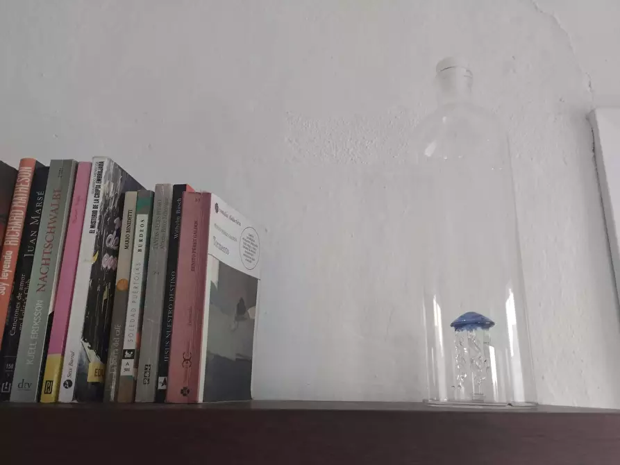 Immagine 5 di Casa indipendente in affitto  in Carrer sa Punta Rotge a Esporles