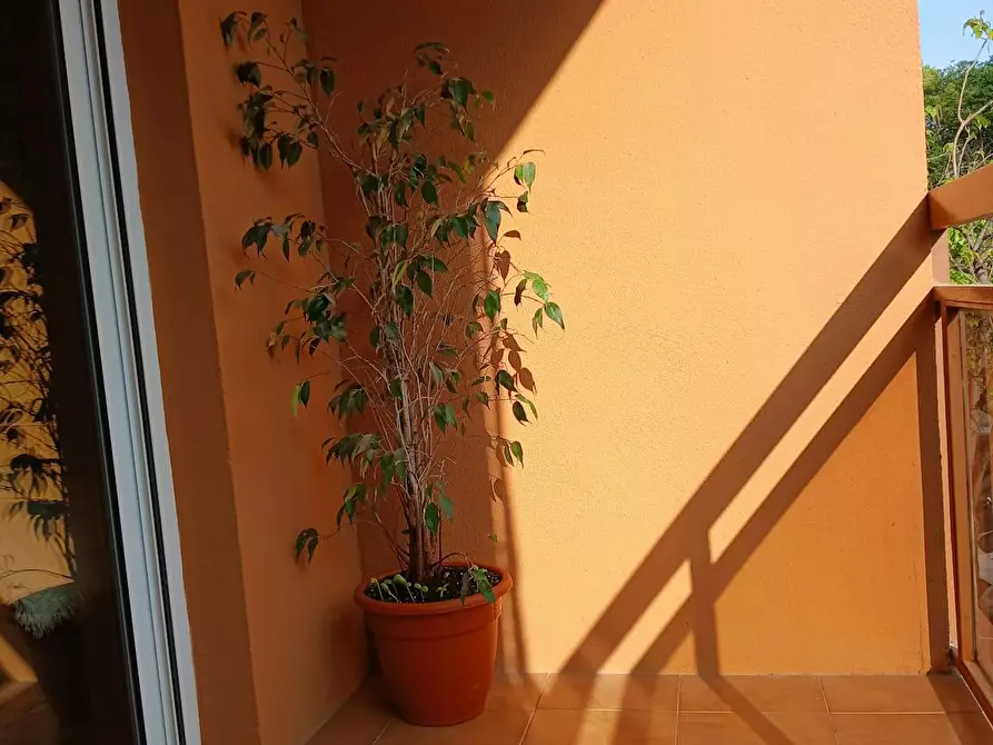 Immagine 6 di Camera in affitto  in Carrer de l'Escultor Mora Cirujeda a Valencia
