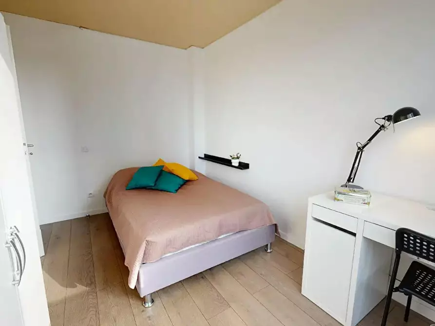Immagine 3 di Camera in affitto  in Cours Émile-Zola a Villeurbanne