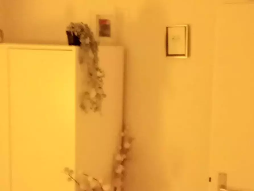 Immagine 10 di Camera in affitto  in Hermesgasse a Köln