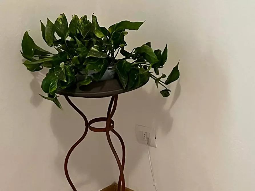 Immagine 9 di Appartamento in affitto  in Via Ubaldo Montelatici a Firenze