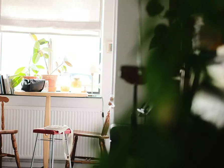 Immagine 7 di Appartamento in affitto  in Olof Palmeplein a Amsterdam