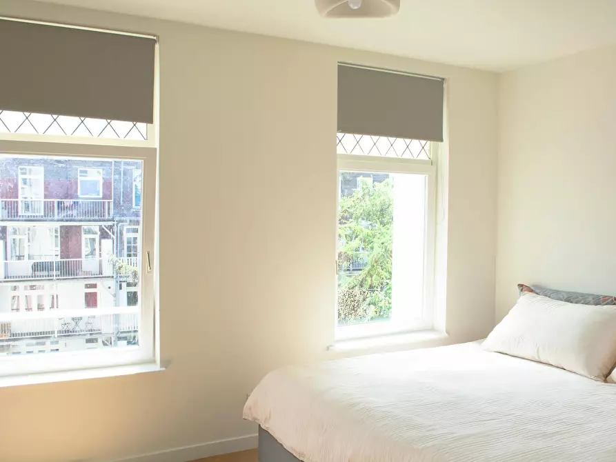 Immagine 8 di Appartamento in affitto  in Ruysdaelstraat a Amsterdam