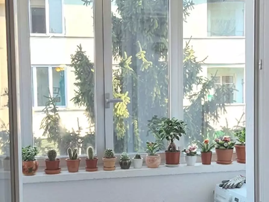 Immagine 7 di Appartamento in affitto  in Via Daniele Ricciarelli a Milano