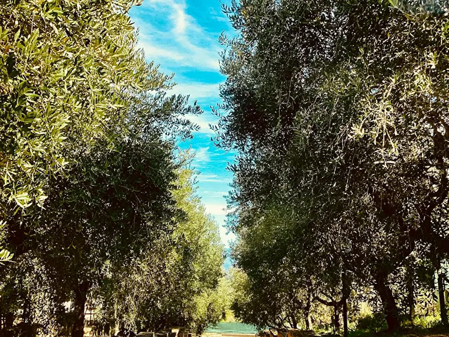 Immagine 3 di Camera in affitto  in Via di Fontana Candida a Roma