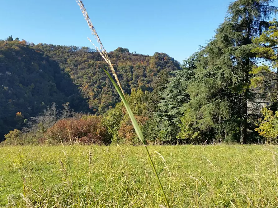 Immagine 9 di Camera in affitto  in Via Carrani a Zola Predosa