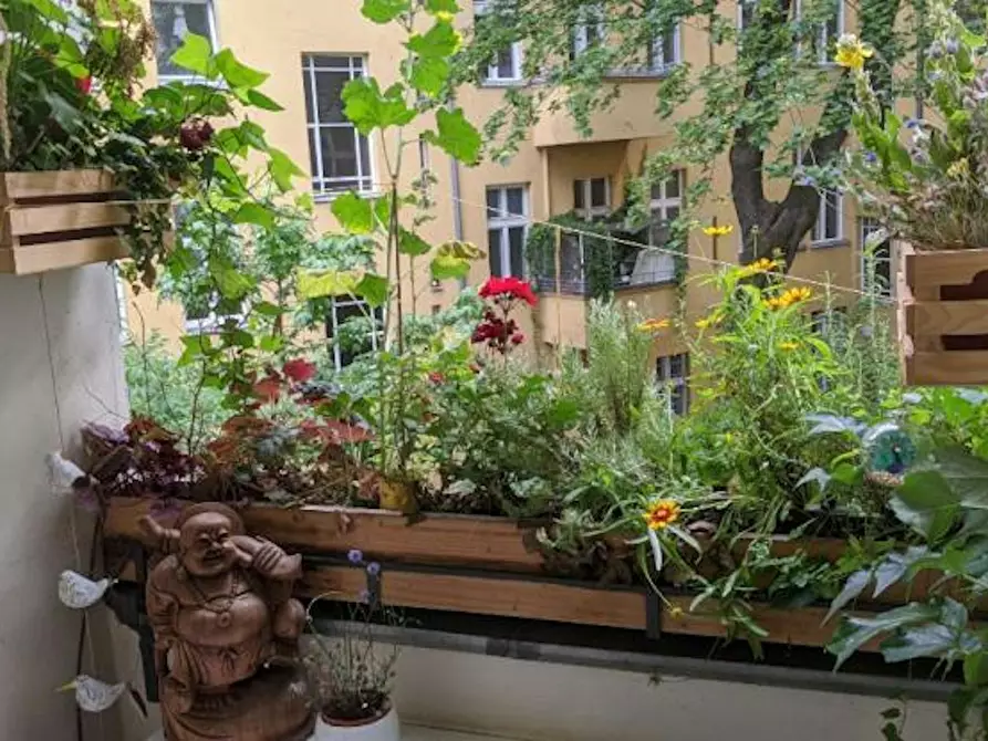 Immagine 6 di Appartamento in affitto  in Hochkirchstraße a Berlin