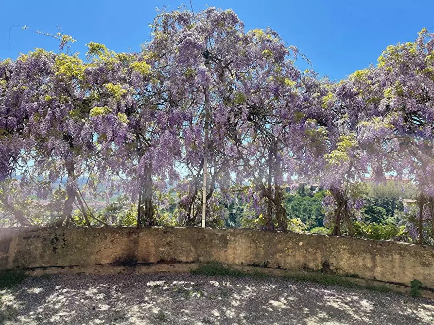 Immagine 3 di Appartamento in affitto  in Via San Michele a Montopoli In Val D'arno