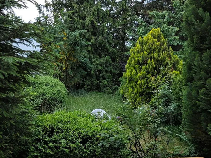 Immagine 9 di Camera in affitto  in Rotkehlchenweg a München