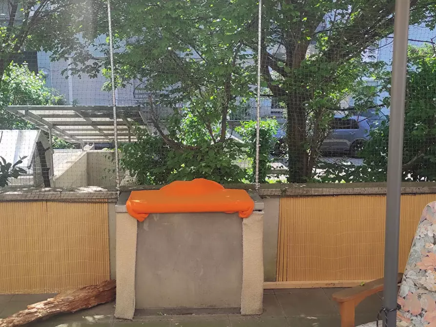 Immagine 7 di Appartamento in affitto  in Landgraf-Georg-Straße a Darmstadt
