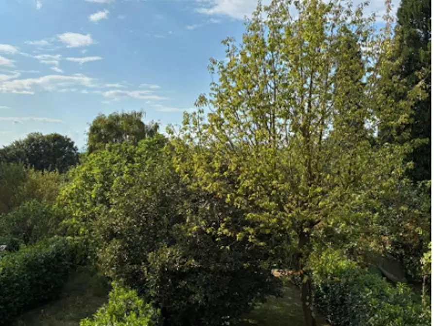 Immagine 5 di Camera in affitto  in Via alle Muselle a Arosio