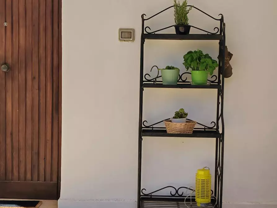 Immagine 7 di Casa indipendente in affitto  in Via Vasco de Gama a Palermo