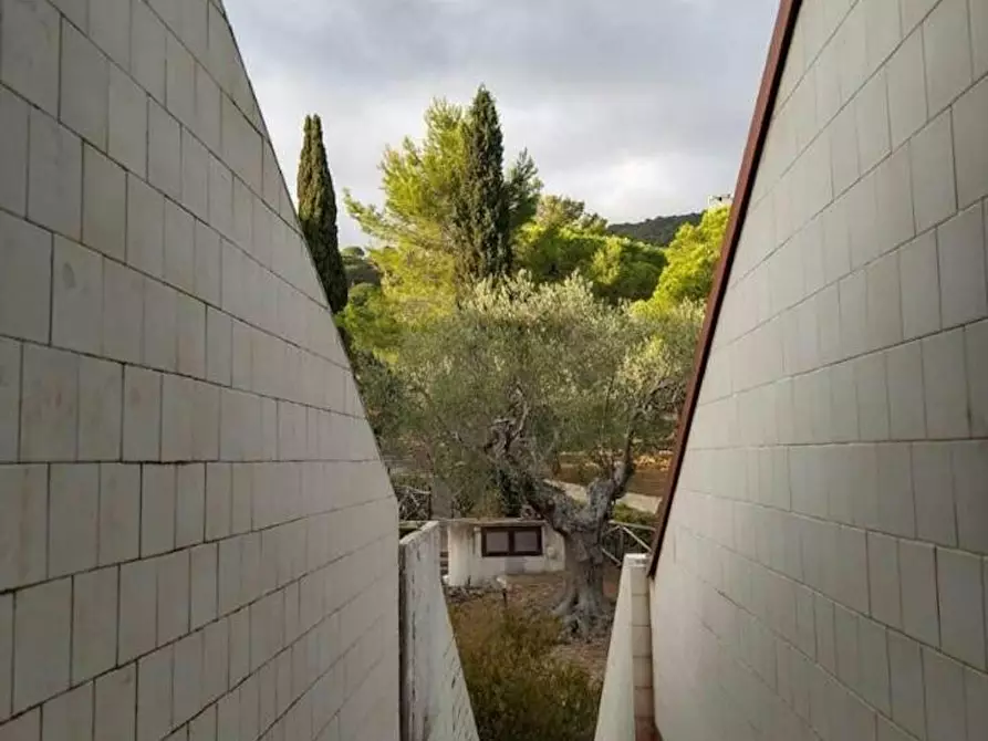 Immagine 4 di Appartamento in affitto  in Via Piemonte a Castiglione Della Pescaia