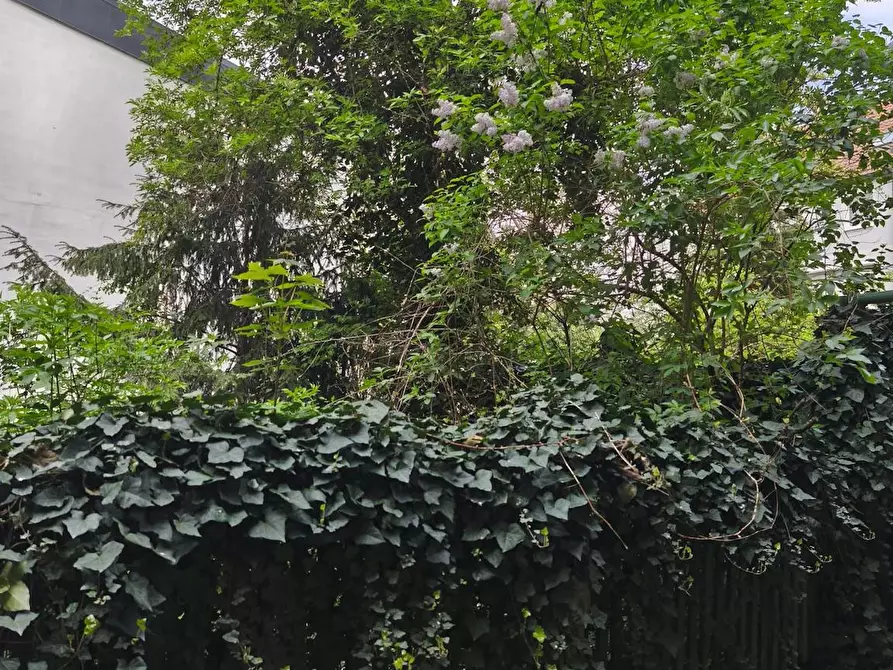 Immagine 3 di Camera in affitto  in Herrlachstraße a Mannheim