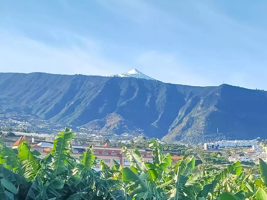 Immagine 5 di Appartamento in affitto  in Calle Tigalete a Puerto De La Cruz
