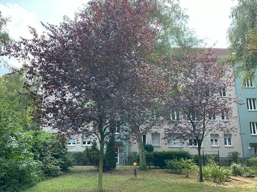 Immagine 4 di Appartamento in affitto  in Josef-Orlopp-Straße a Berlin
