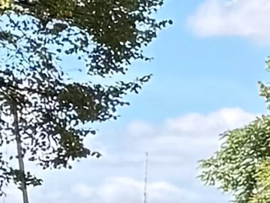 Immagine 10 di Appartamento in affitto  in Josef-Orlopp-Straße a Berlin
