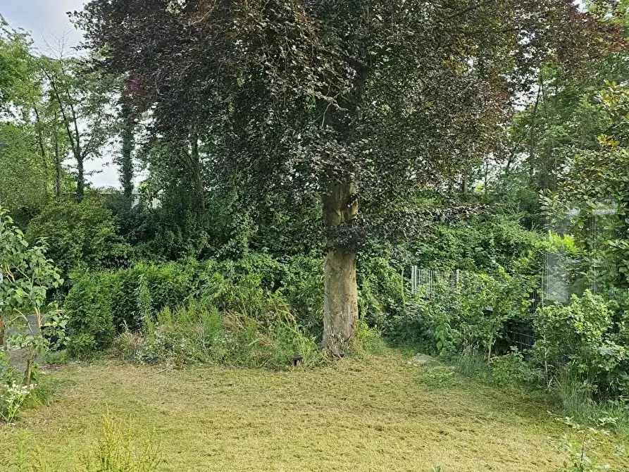Immagine 10 di Camera in affitto  in Johannesberger Straße a Erkrath