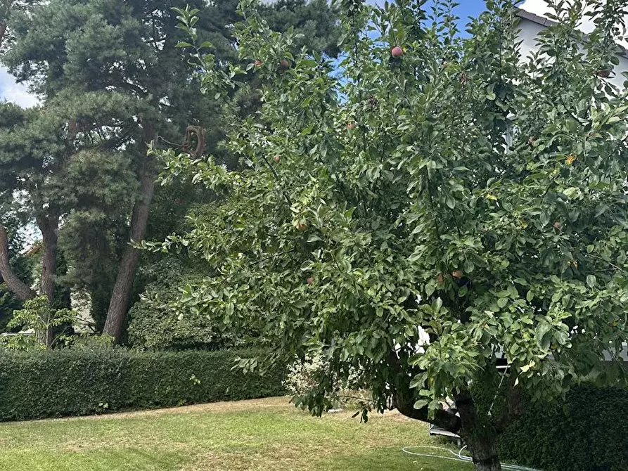 Immagine 6 di Camera in affitto  in Schulzendorfer Straße a Berlin