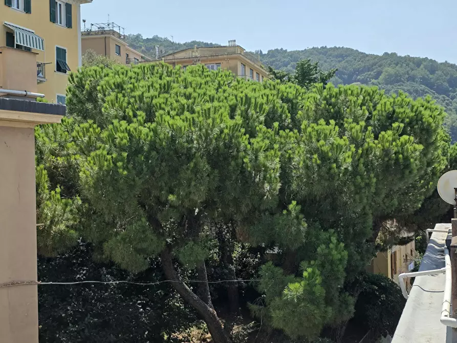 Immagine 2 di Appartamento in affitto  in Via Mansueto a Genova