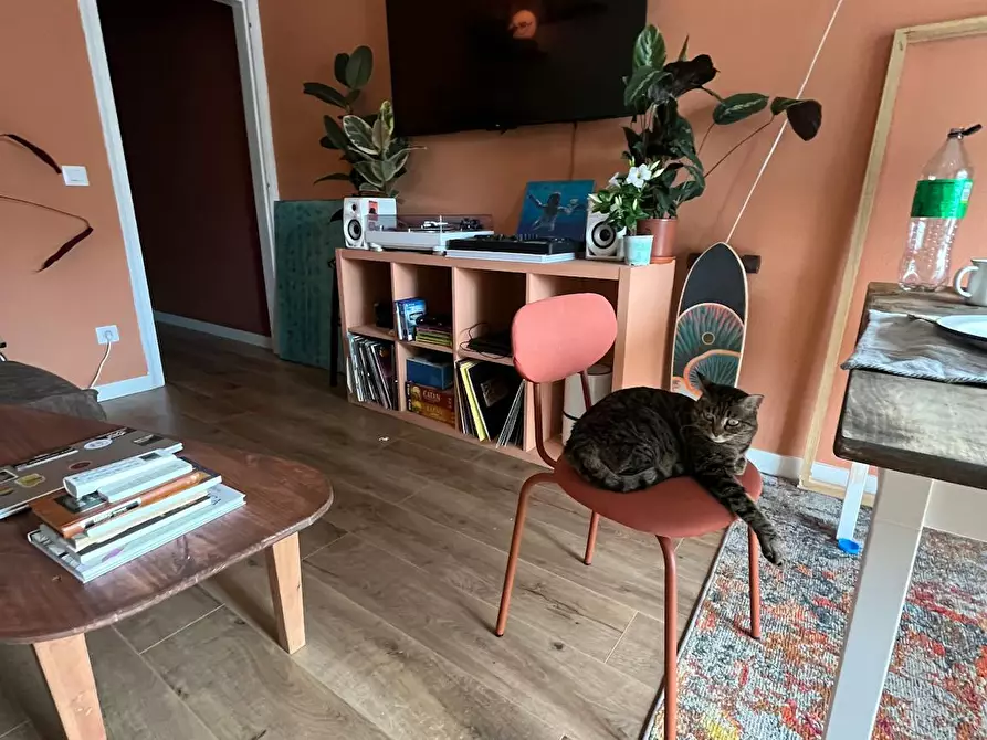 Immagine 2 di Appartamento in affitto  in Carrer de Cartagena a Barcelona