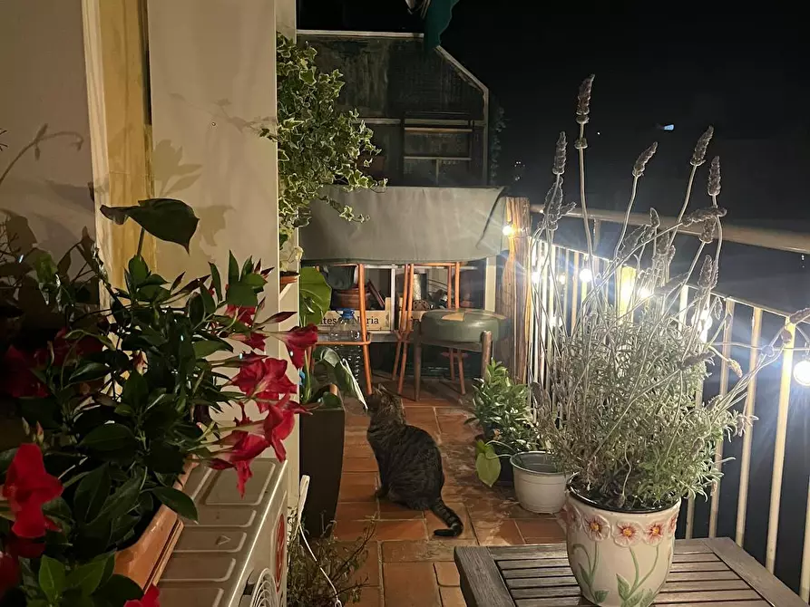 Immagine 9 di Appartamento in affitto  in Carrer de Cartagena a Barcelona