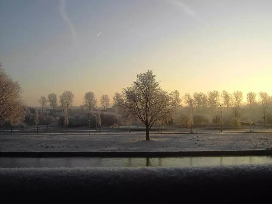 Immagine 6 di Camera in affitto  in P. Hans Frankfurthersingel a Amsterdam