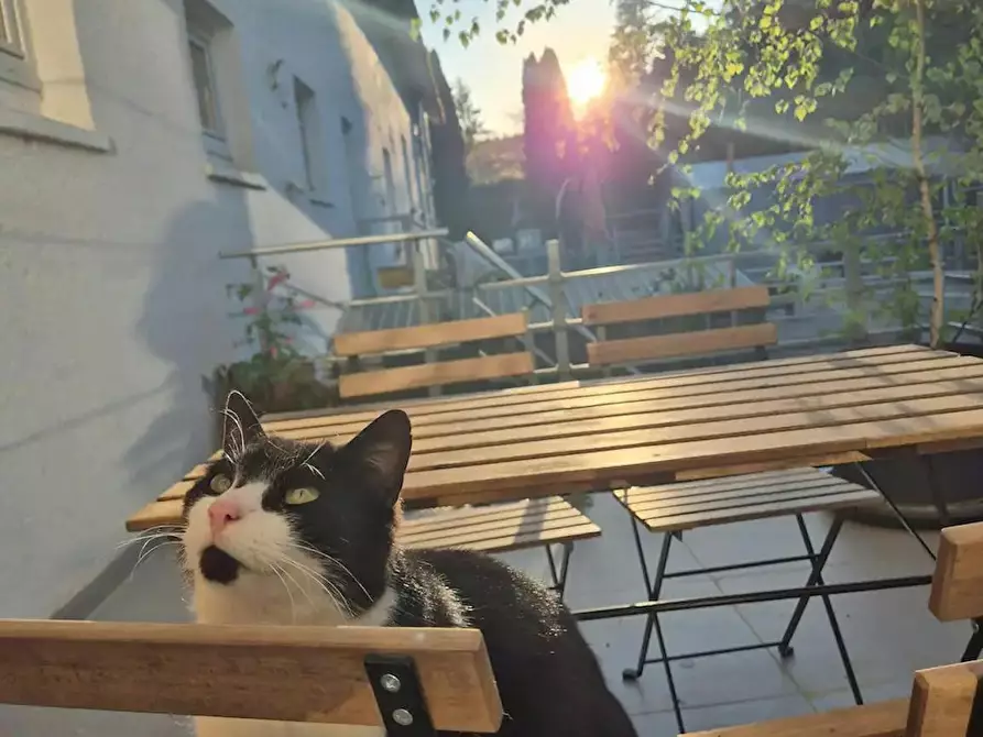 Immagine 2 di Appartamento in affitto  in Mehlbaumweg a Hünstetten