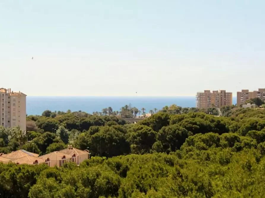Immagine 3 di Casa indipendente in affitto  in Calle Samaniego a Punta Prima