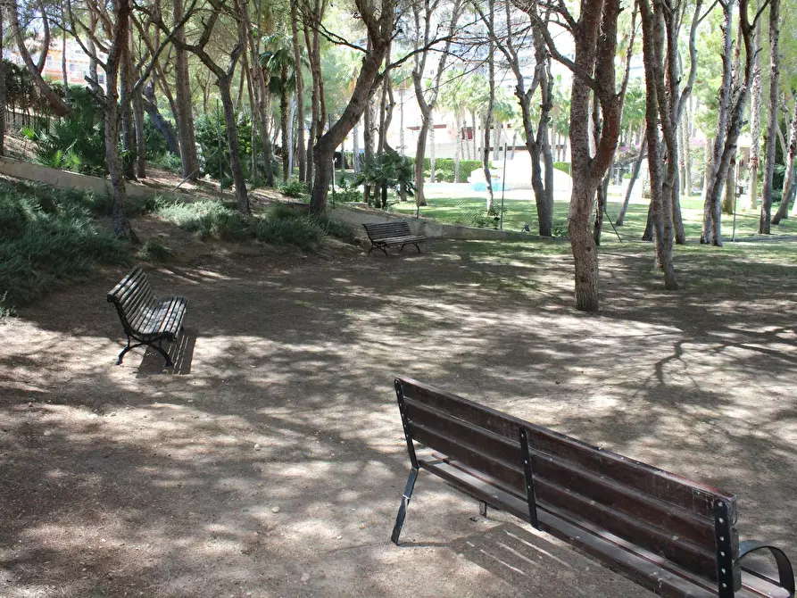 Immagine 5 di Casa indipendente in affitto  in Calle Samaniego a Punta Prima