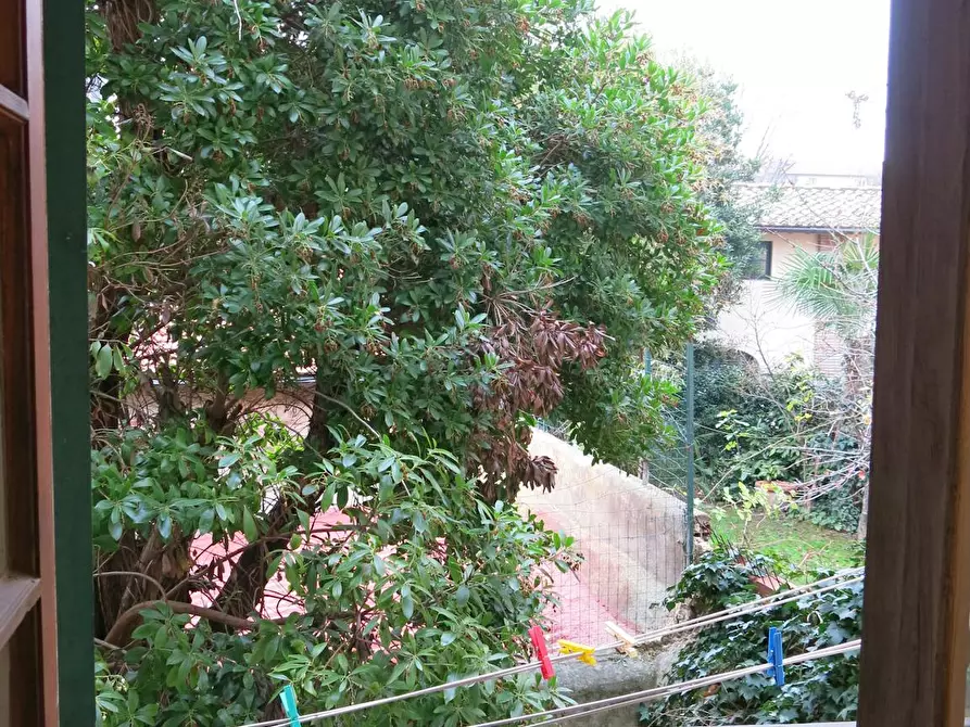appartamento in affitto a Firenze in zona Centro San Frediano