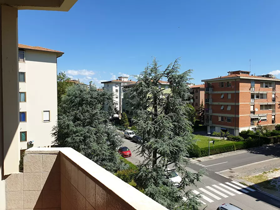 Immagine 10 di Camera in affitto  in Via Giorgio Vasari a Pisa