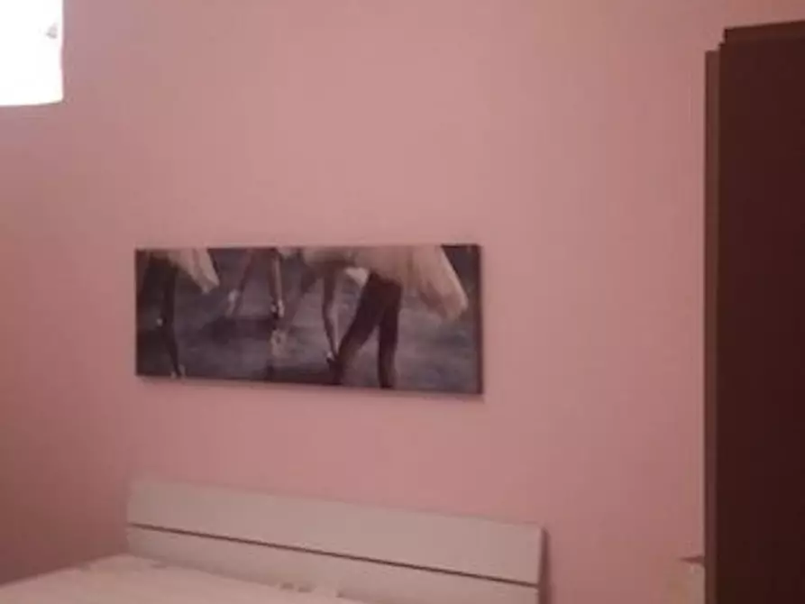 Immagine 8 di Camera in affitto  in Via delle Margherite a Pisa