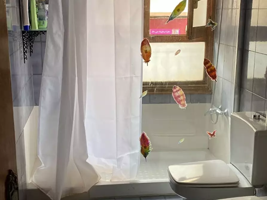 Immagine 4 di Camera in affitto  in Avenida Libertad a Elx/Elche