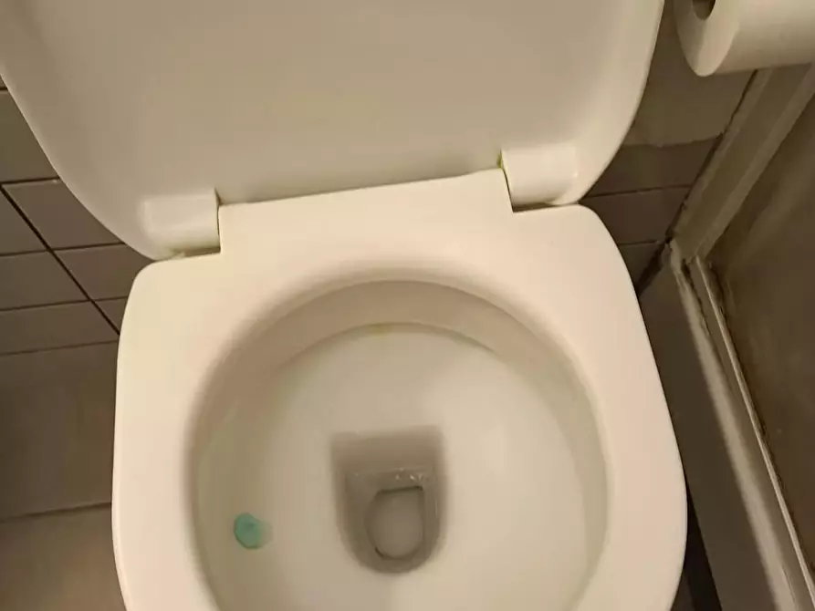 Immagine 9 di Appartamento in affitto  in Via dei Cartari a Roma