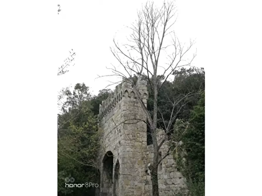 Immagine 28 di Appartamento in affitto  a Fiesole