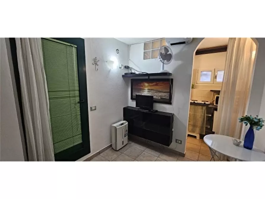 Immagine 1 di Appartamento in affitto  a Firenze